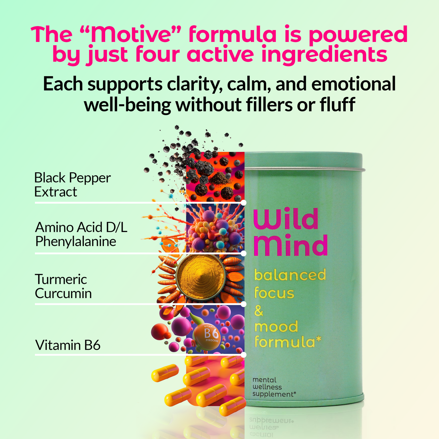 MOTIVE - Balanced Focus and Mood Formula