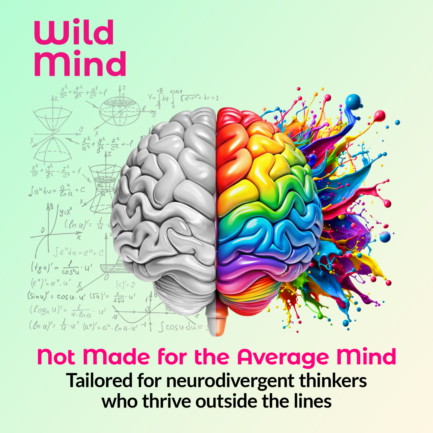 MOTIVE - Balanced Focus and Mood Formula
